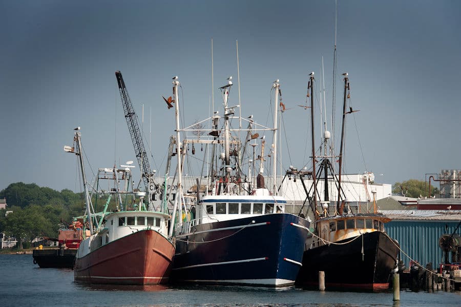 Working trawlers tied up at the Gloucester fish pier