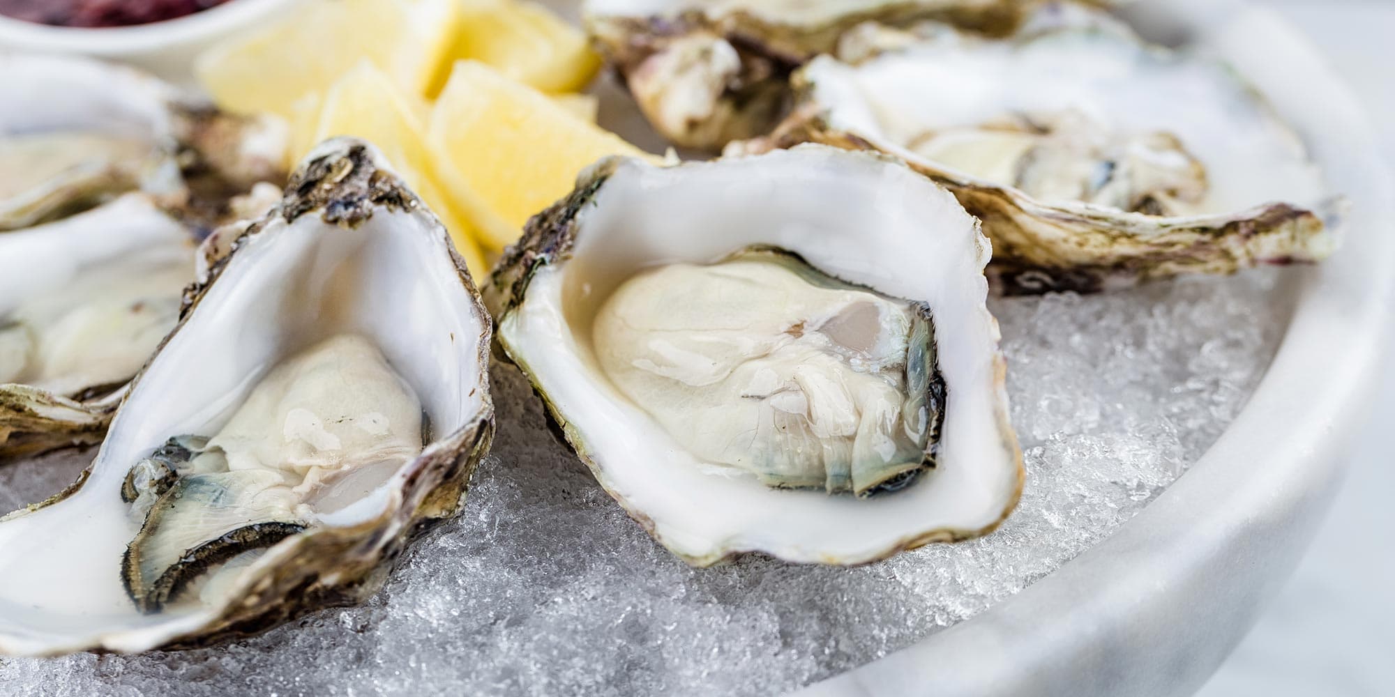 Cape Ann oysters on the half shell with lemon