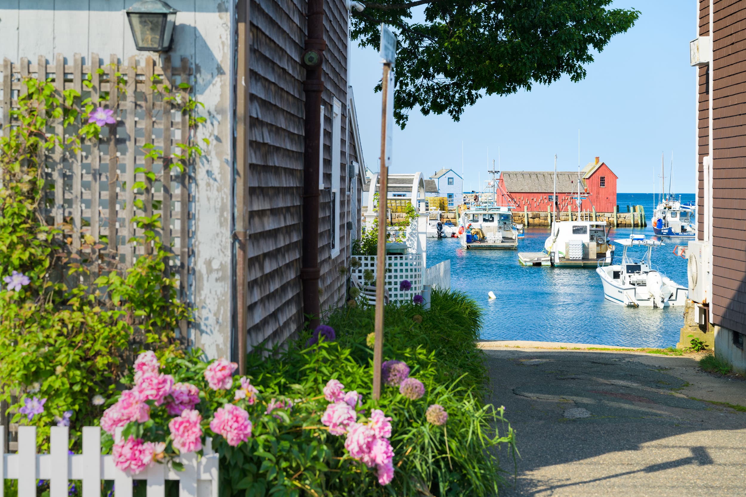 A peek through an alley at Motif No. 1 with hydrangeas in bloom
