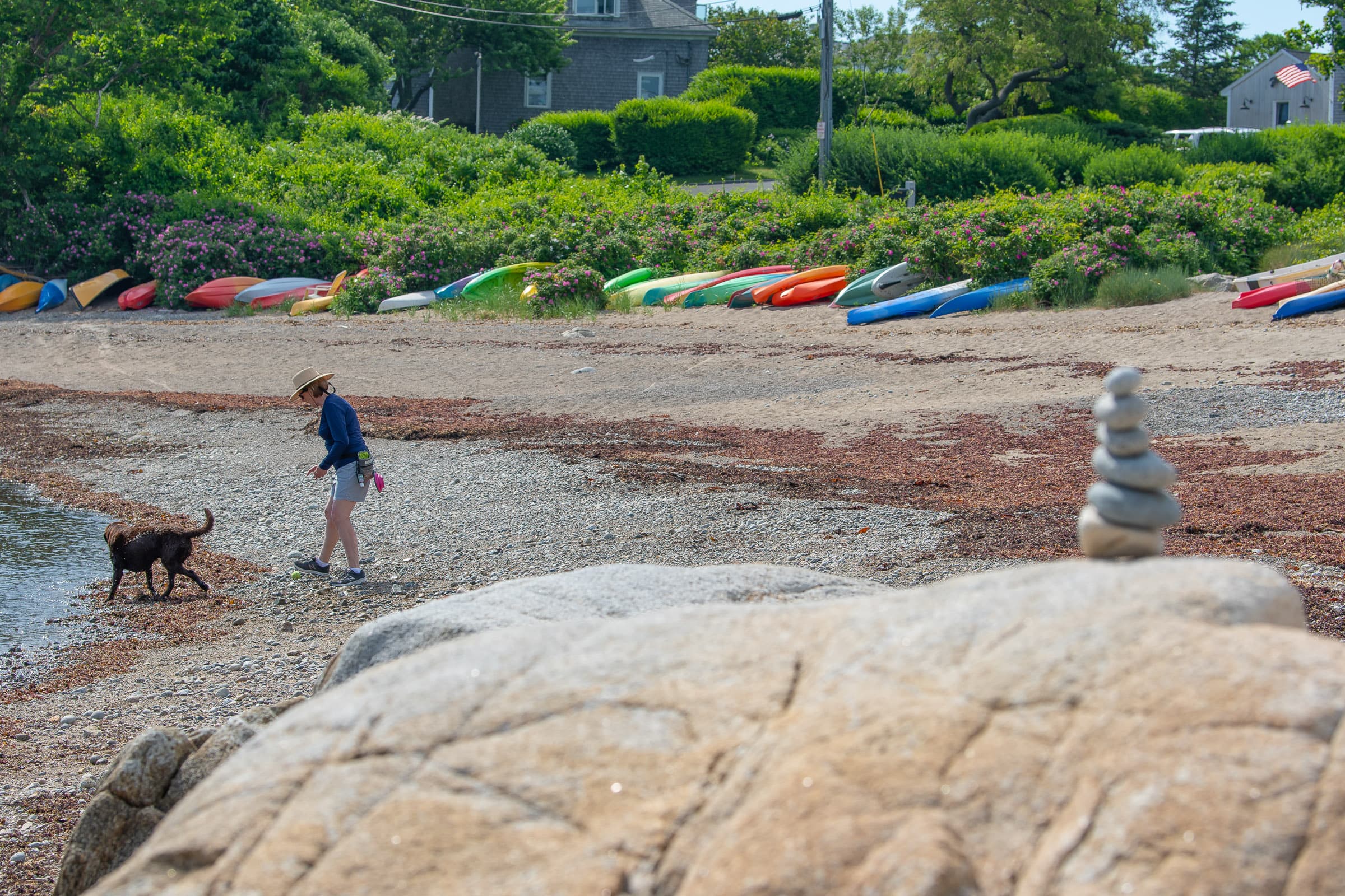A person walking a dog along a rocky Rockport beach with kayaks in the dunes
